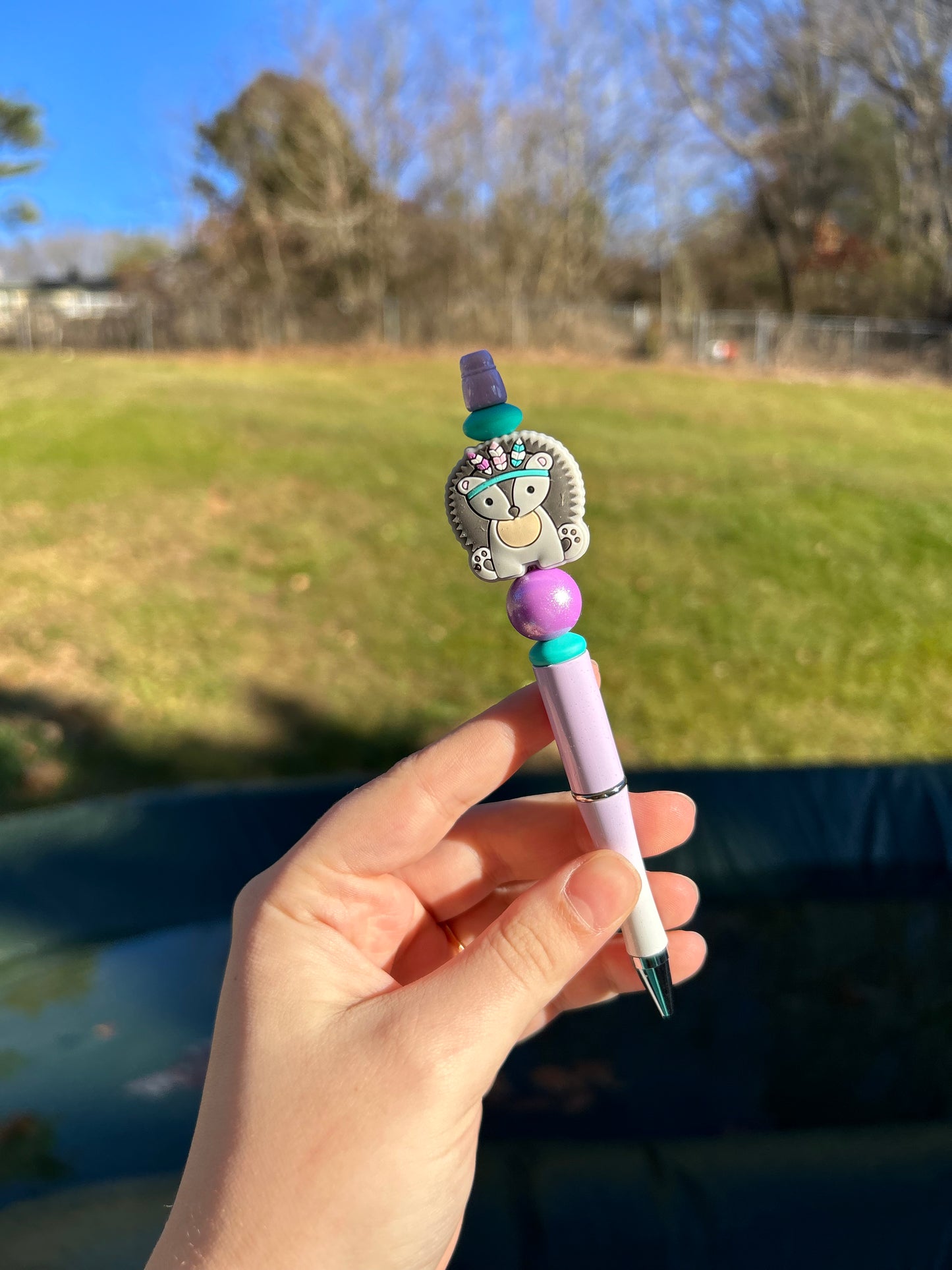 Hedgehog Pen